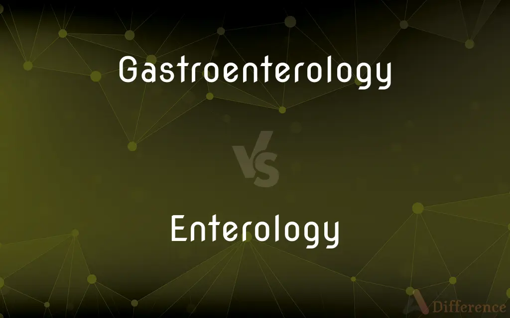 Gastroenterology vs. Enterology — What's the Difference?
