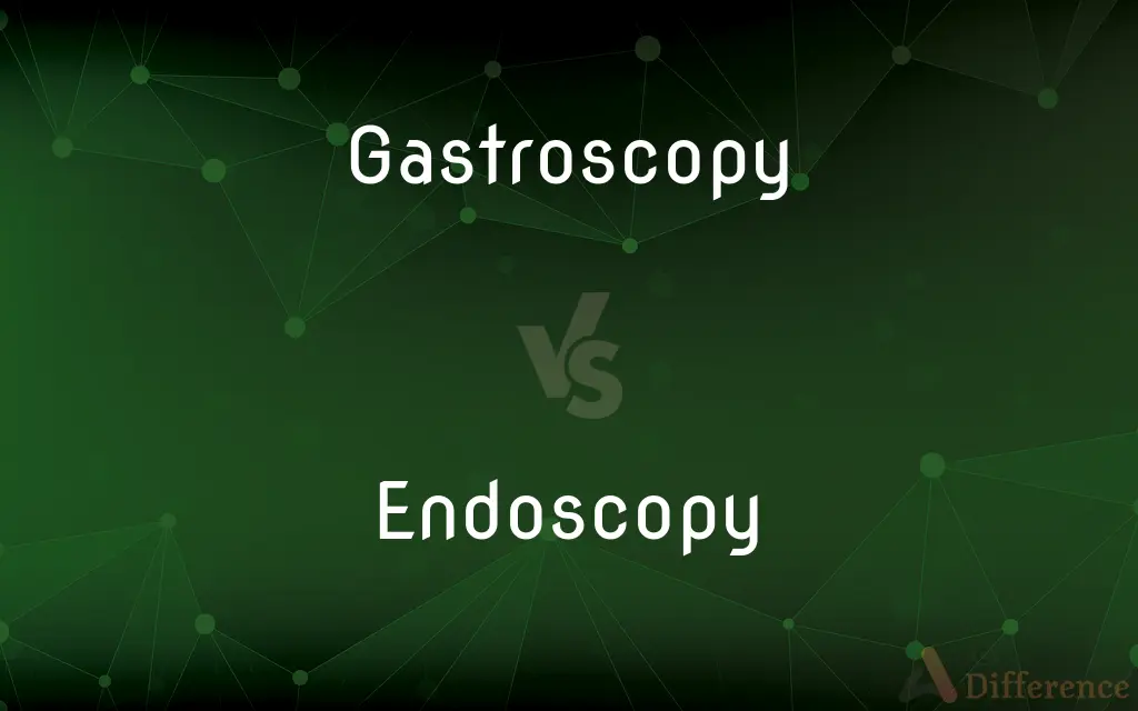 Gastroscopy vs. Endoscopy — What's the Difference?