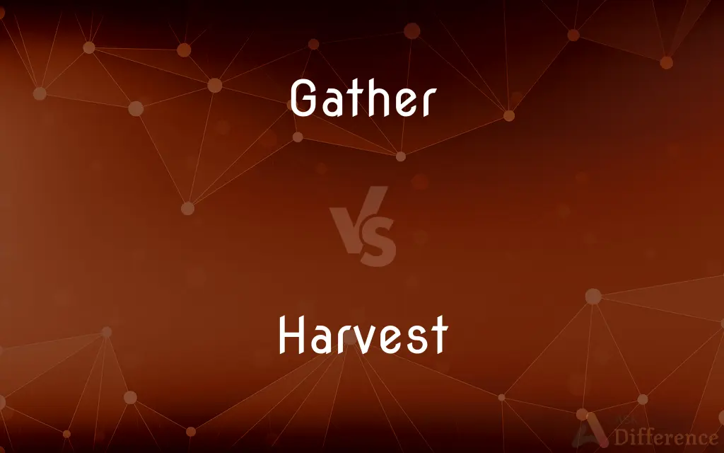 Gather vs. Harvest — What's the Difference?
