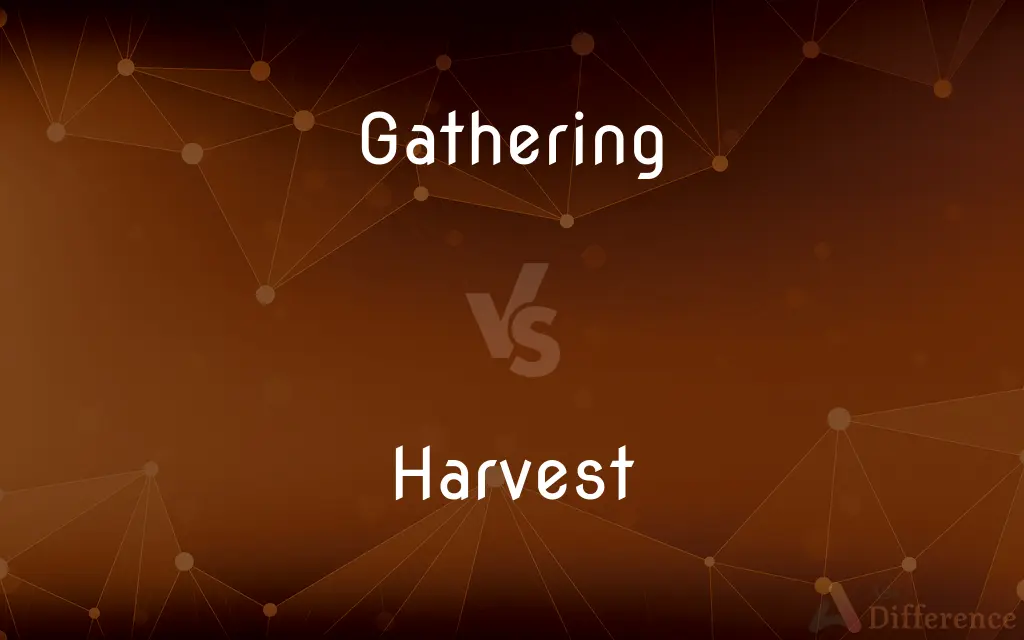 Gathering vs. Harvest — What's the Difference?