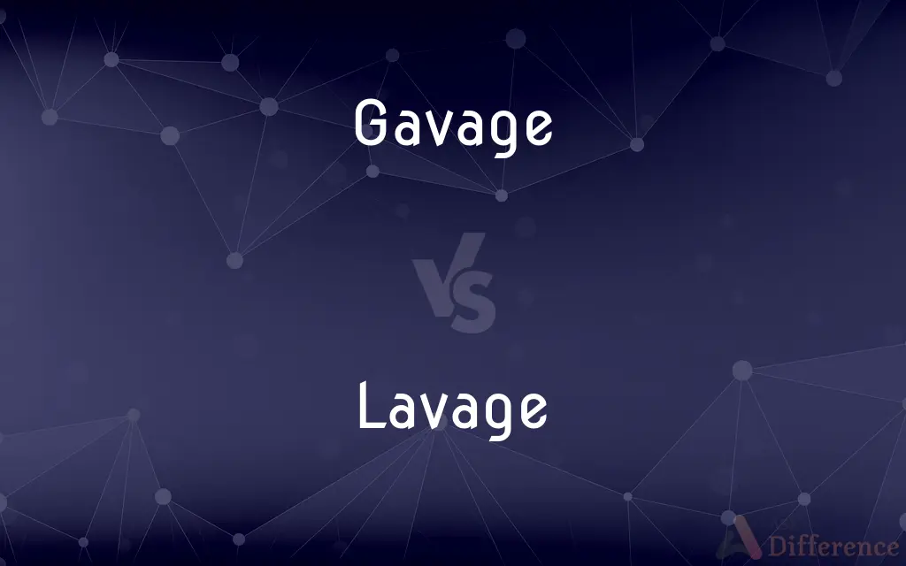 Gavage vs. Lavage — What's the Difference?