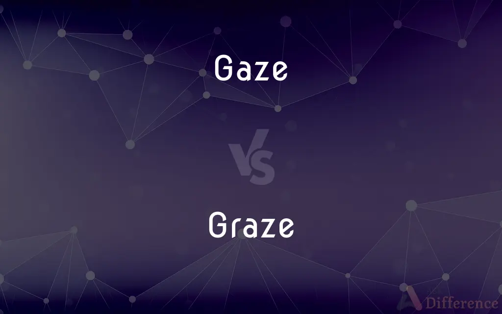 Gaze vs. Graze — What's the Difference?
