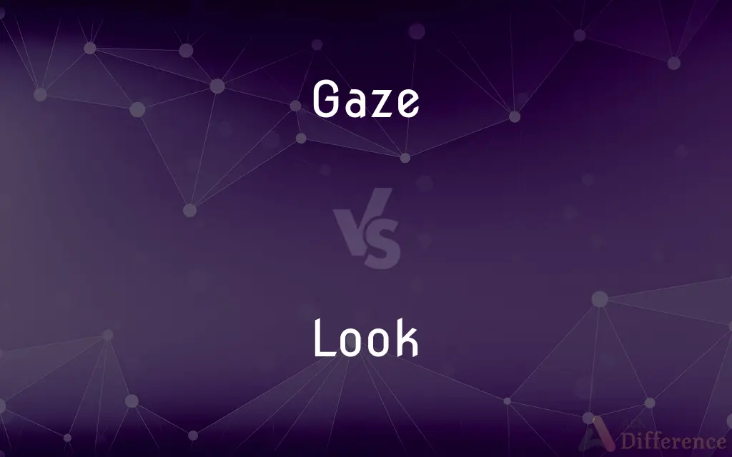 Gaze vs. Look — What's the Difference?