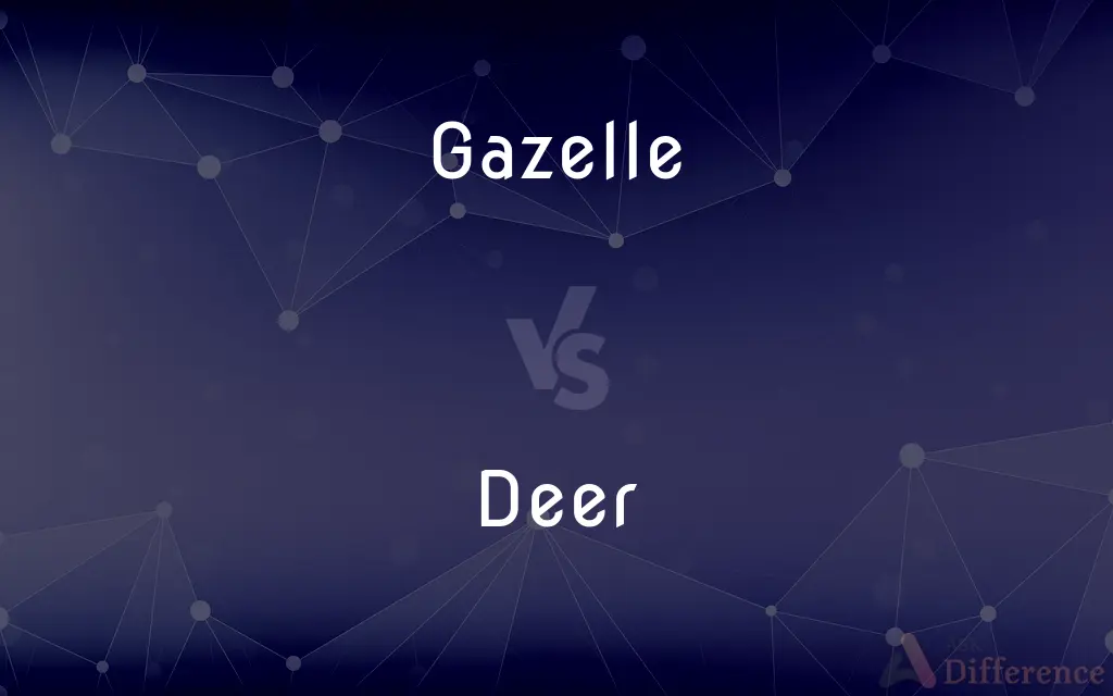 Gazelle vs. Deer — What's the Difference?