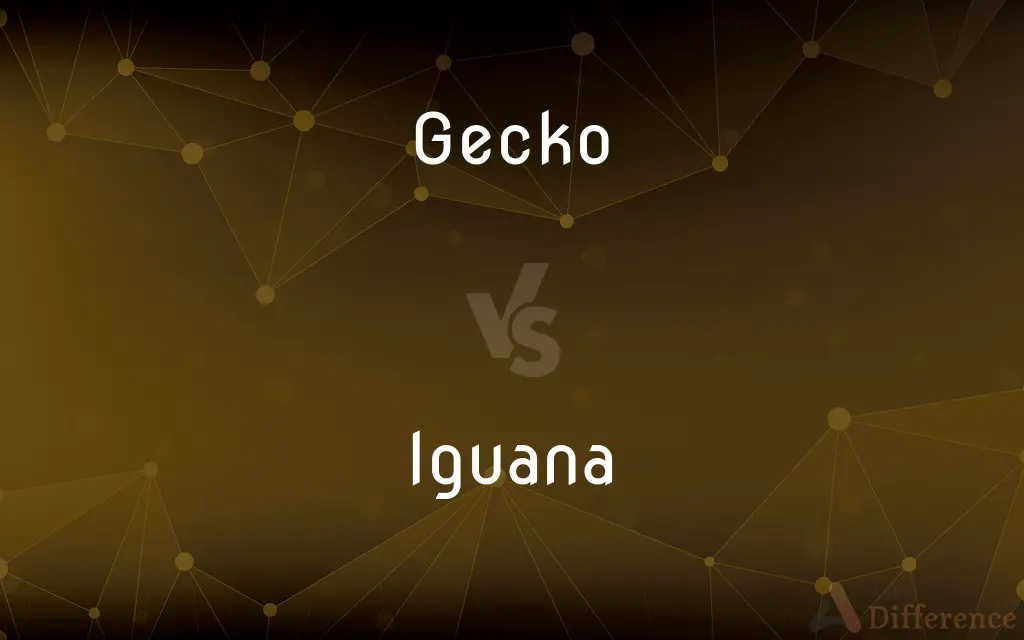 Gecko vs. Iguana — What's the Difference?