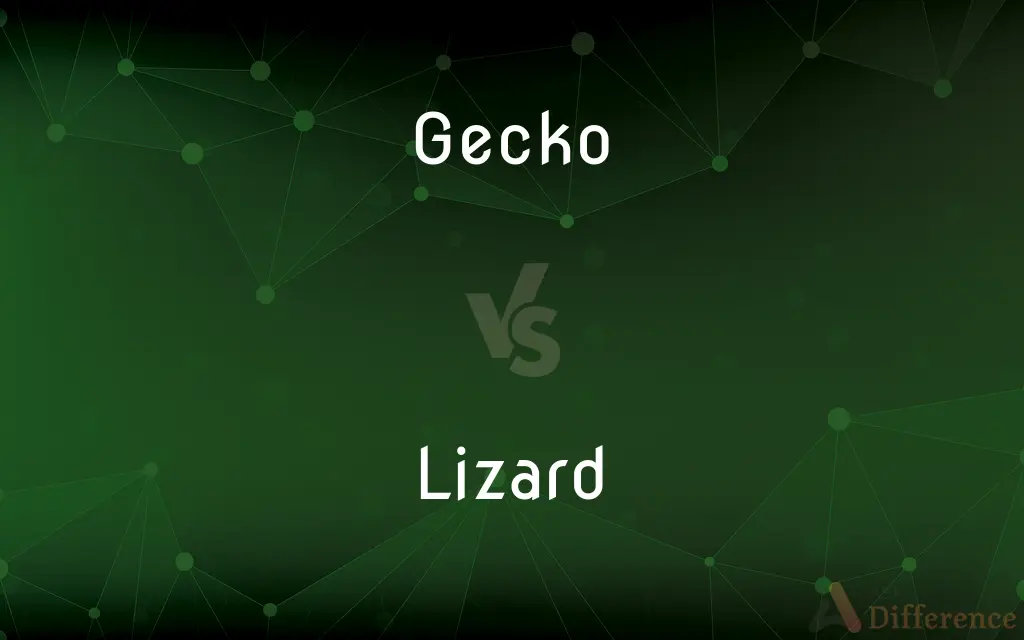 Gecko vs. Lizard — What's the Difference?