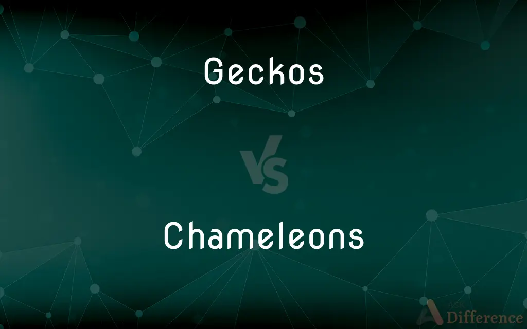 Geckos vs. Chameleons — What's the Difference?