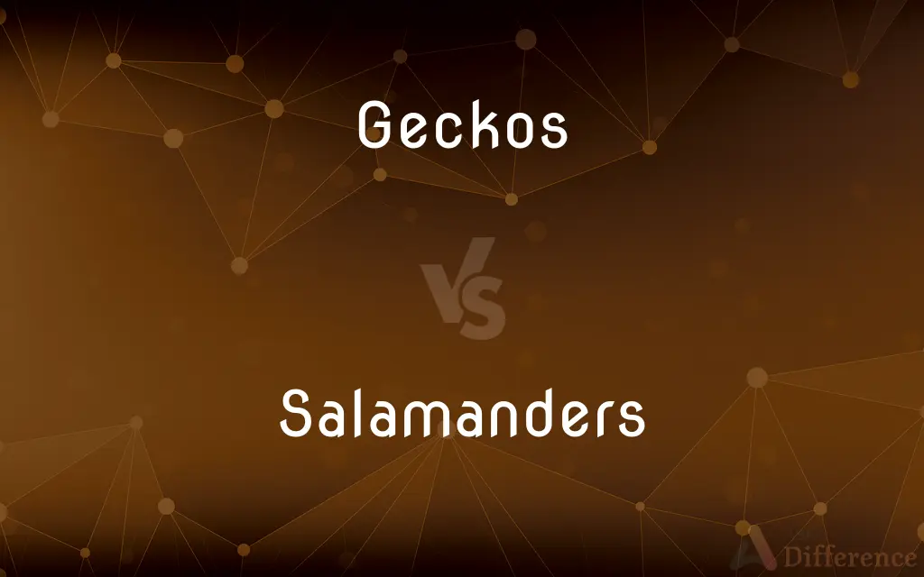 Geckos vs. Salamanders — What's the Difference?