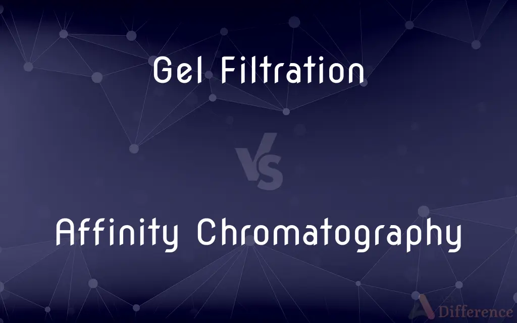 Gel Filtration vs. Affinity Chromatography — What's the Difference?