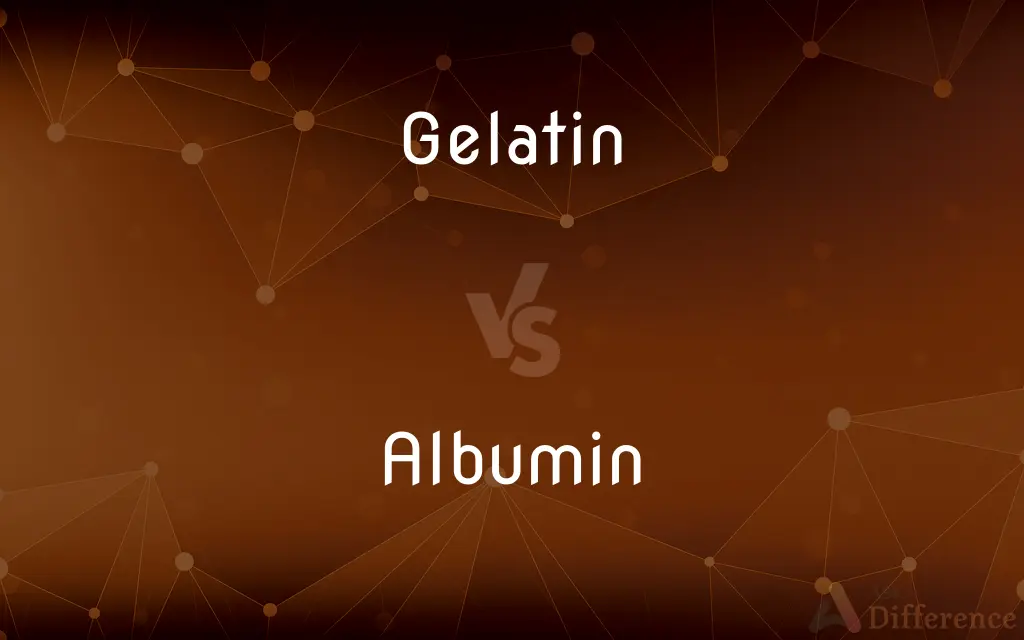 Gelatin vs. Albumin — What's the Difference?