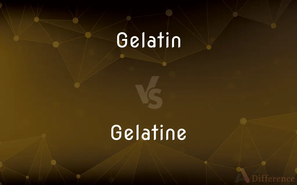 Gelatin vs. Gelatine — What's the Difference?