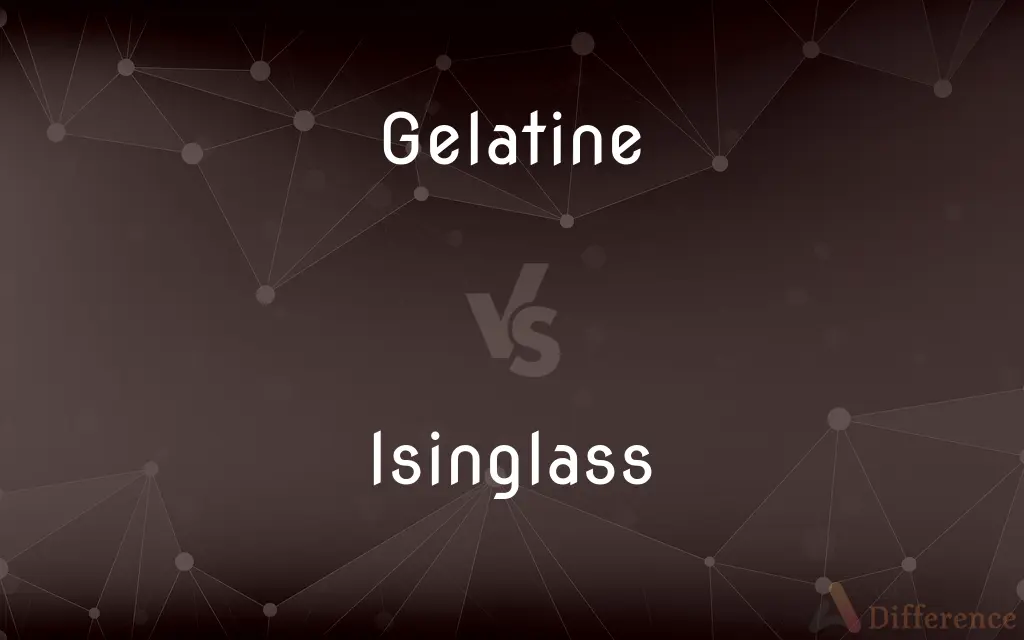Gelatine vs. Isinglass — What's the Difference?