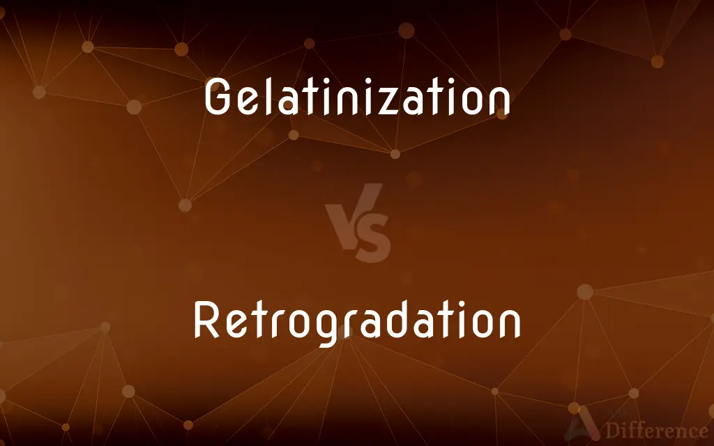 Gelatinization vs. Retrogradation — What's the Difference?