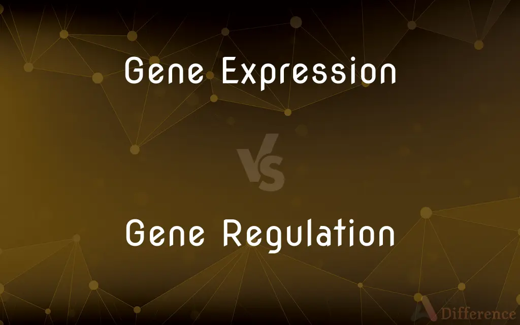 Gene Expression vs. Gene Regulation — What's the Difference?
