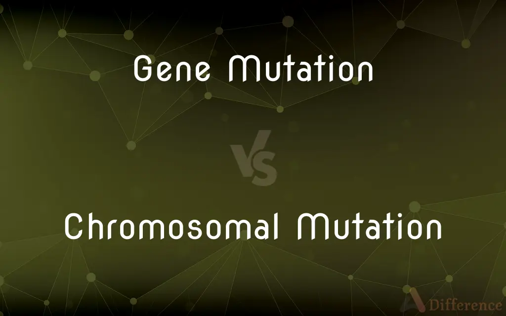 Gene Mutation vs. Chromosomal Mutation — What's the Difference?