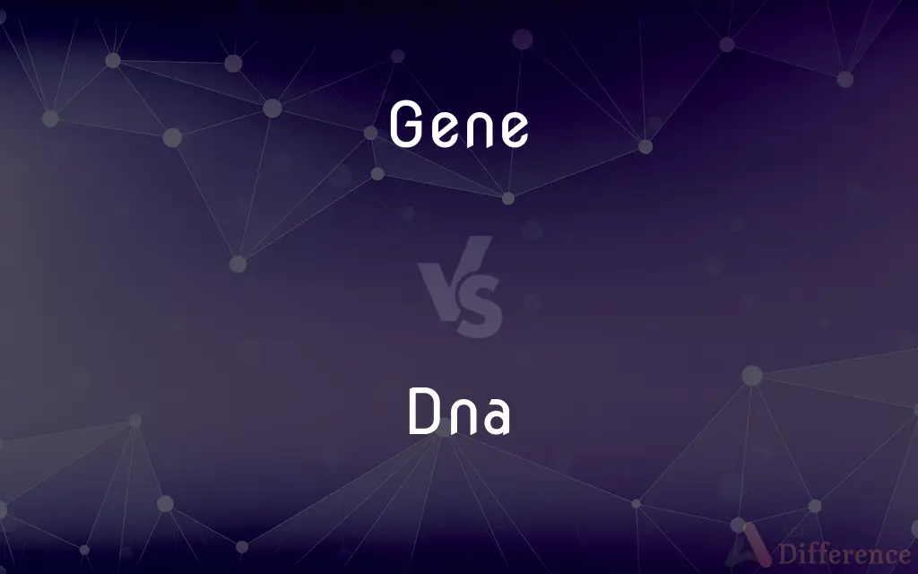 Gene vs. Dna — What's the Difference?