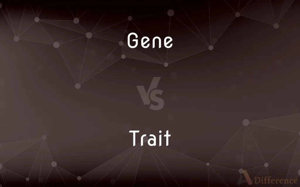 Gene vs. Trait — What's the Difference?