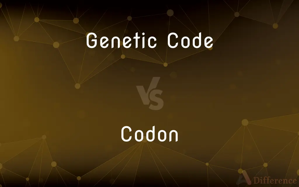 Genetic Code vs. Codon — What's the Difference?