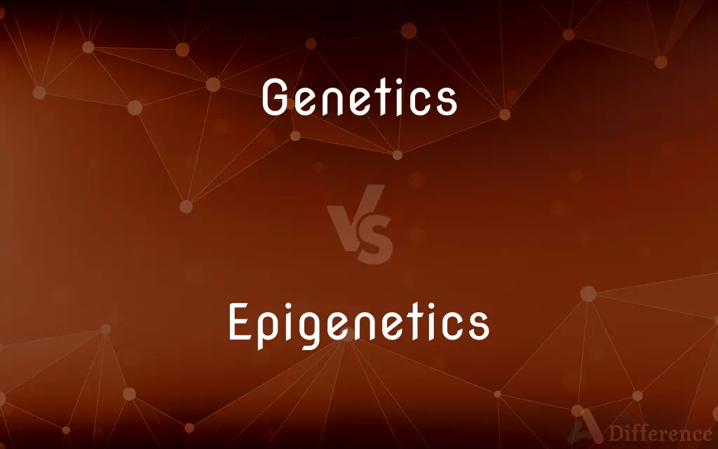 Genetics vs. Epigenetics — What's the Difference?