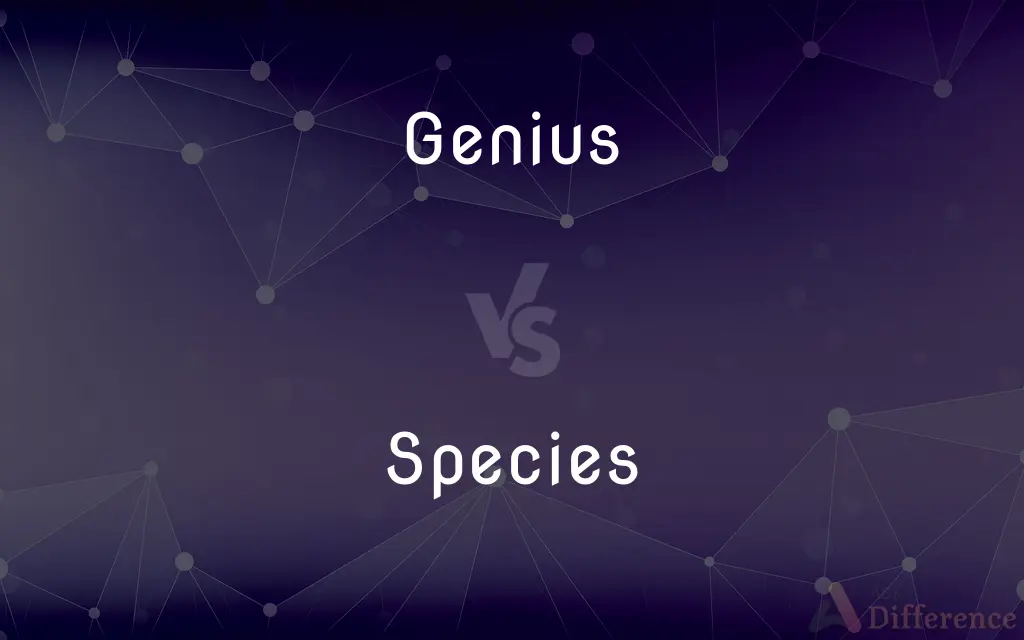 Genius vs. Species — What's the Difference?