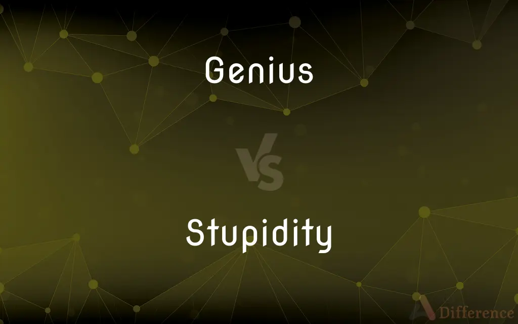 Genius vs. Stupidity — What's the Difference?