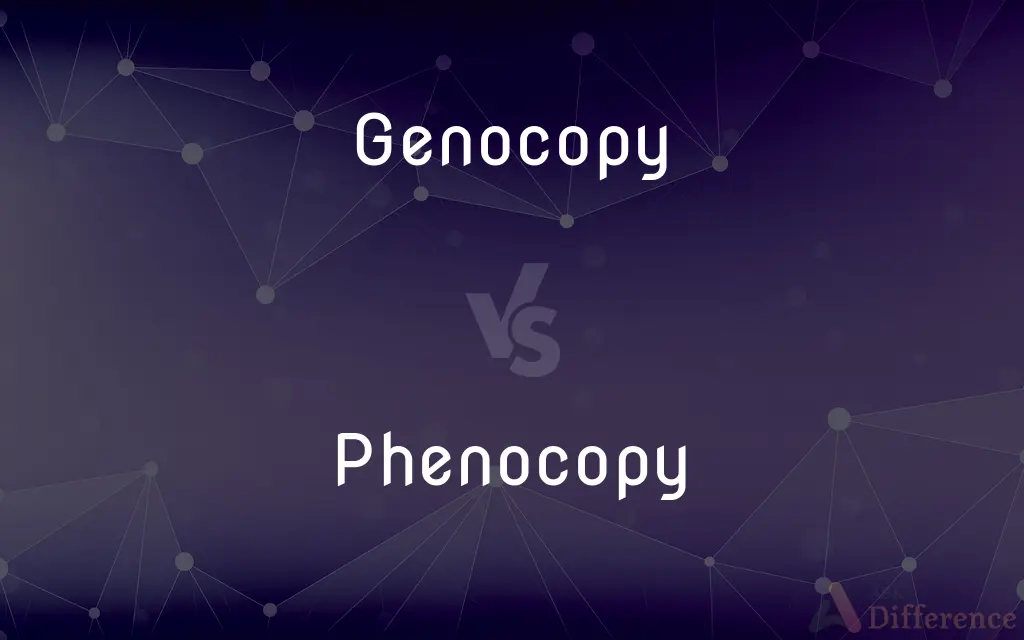 Genocopy vs. Phenocopy — What's the Difference?