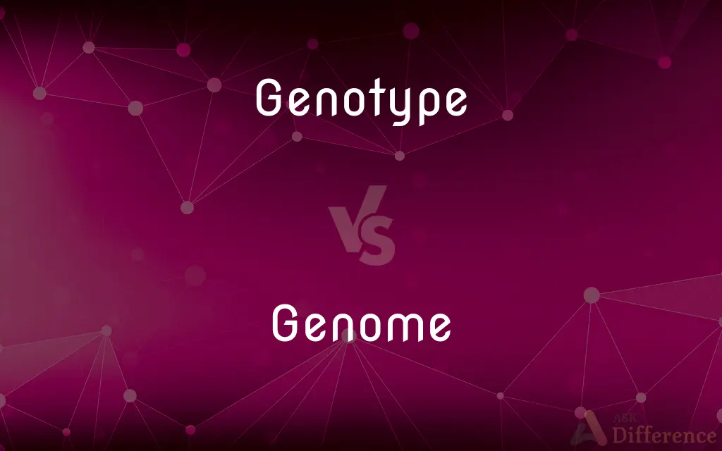 Genotype vs. Genome — What's the Difference?