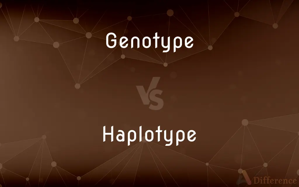 Genotype vs. Haplotype — What's the Difference?