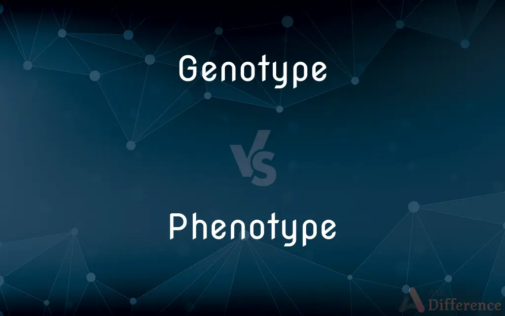 Genotype vs. Phenotype — What's the Difference?