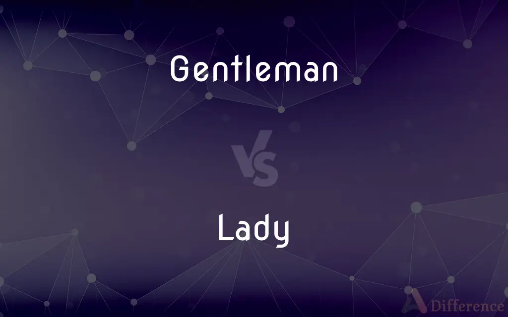 Gentleman vs. Lady — What's the Difference?