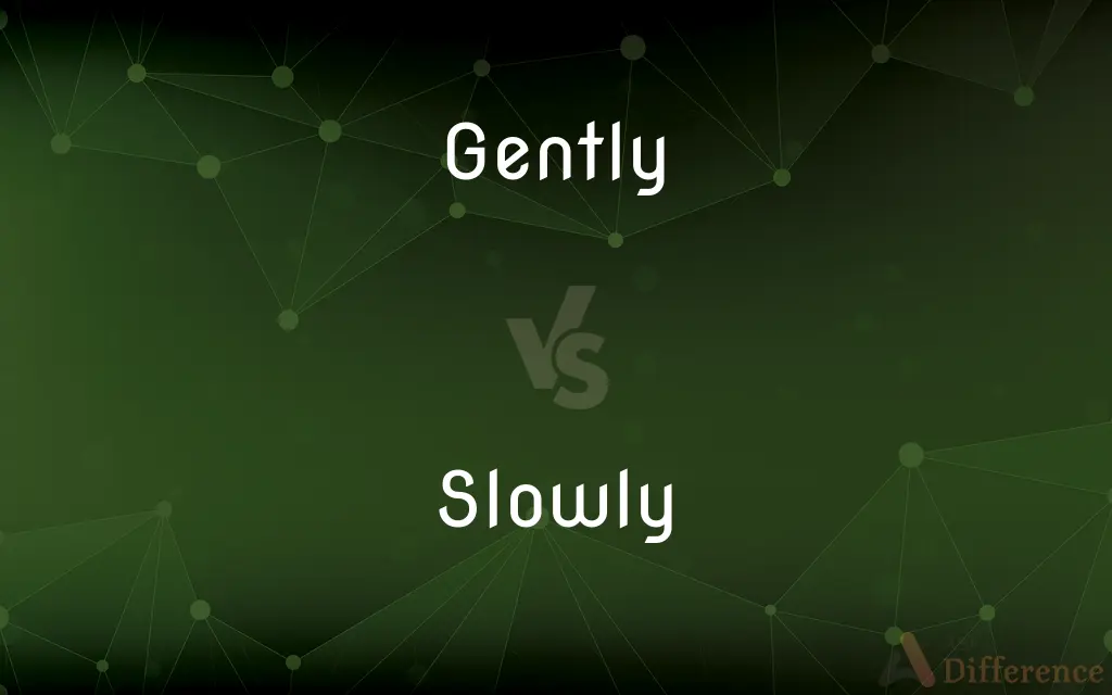 Gently vs. Slowly — What's the Difference?