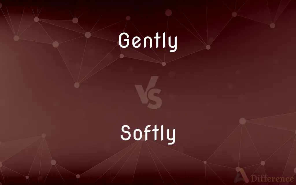 Gently vs. Softly — What's the Difference?