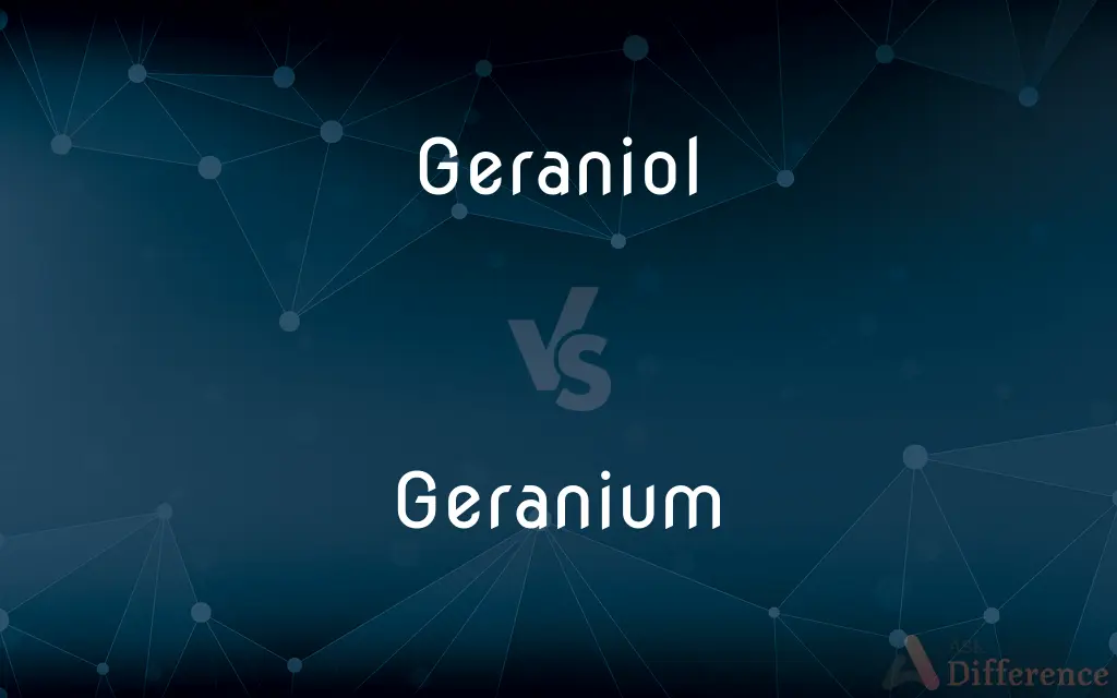 Geraniol vs. Geranium — What's the Difference?