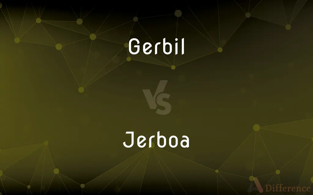 Gerbil vs. Jerboa — What's the Difference?
