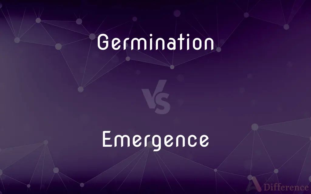 Germination vs. Emergence — What's the Difference?