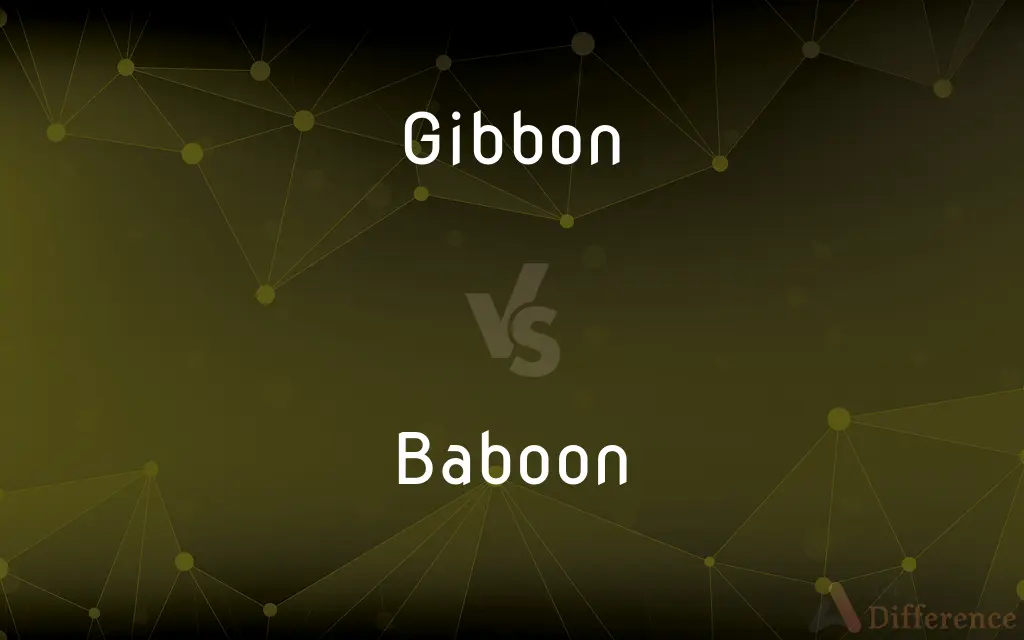 Gibbon vs. Baboon — What's the Difference?