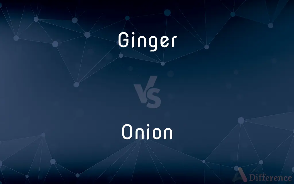 Ginger vs. Onion — What's the Difference?
