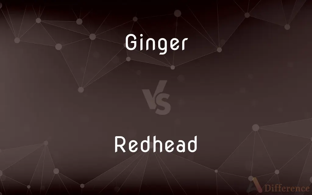Ginger vs. Redhead — What's the Difference?