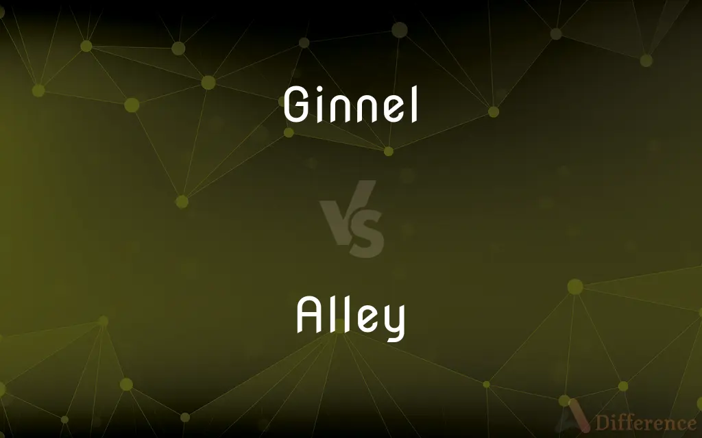 Ginnel vs. Alley — What's the Difference?