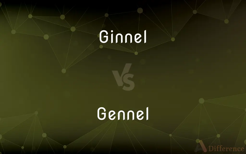 Ginnel vs. Gennel — What's the Difference?