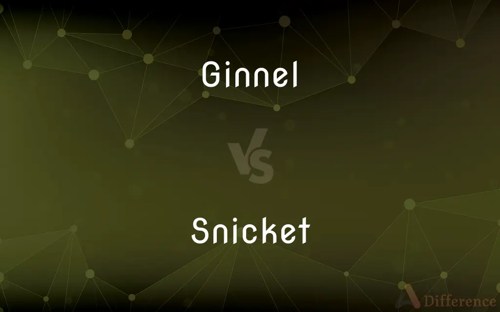 Ginnel vs. Snicket — What's the Difference?