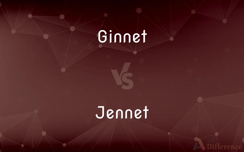 Ginnet vs. Jennet — Which is Correct Spelling?