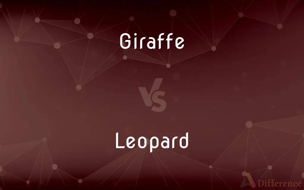 Giraffe vs. Leopard — What's the Difference?