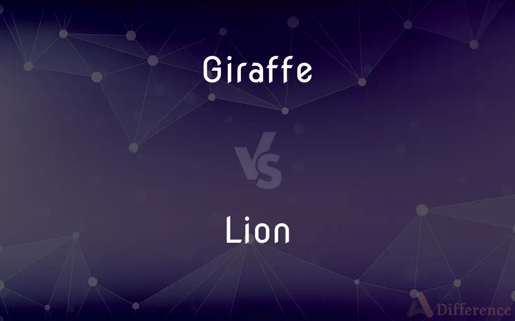 Giraffe vs. Lion — What's the Difference?