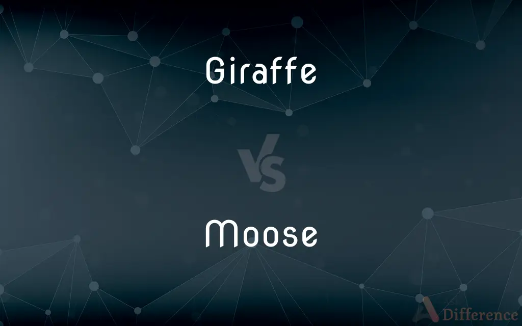 Giraffe vs. Moose — What's the Difference?