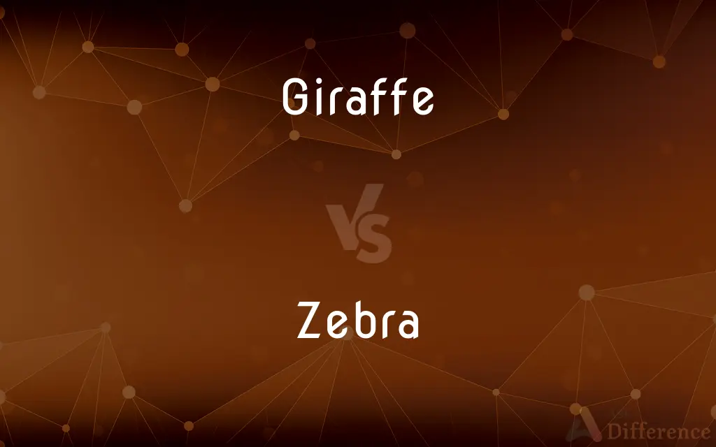 Giraffe vs. Zebra — What's the Difference?