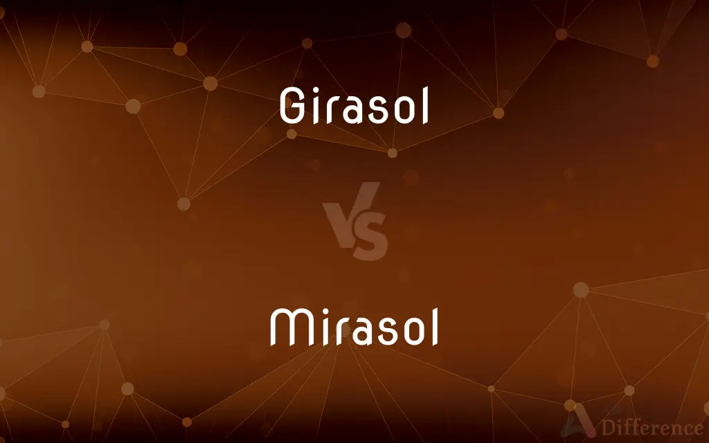 Girasol vs. Mirasol — What's the Difference?