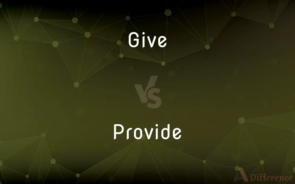 Give vs. Provide — What's the Difference?