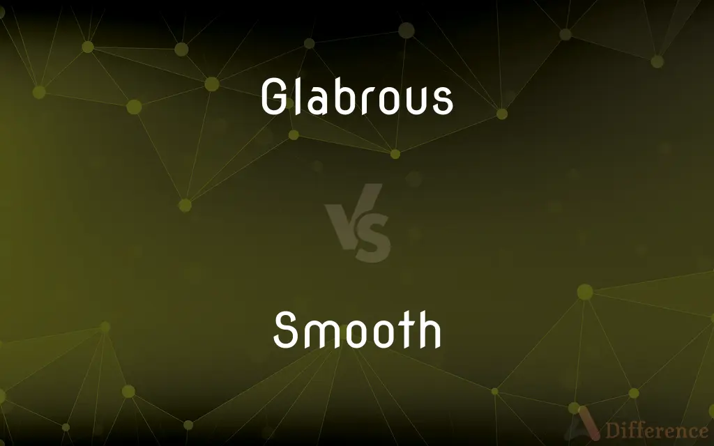 Glabrous vs. Smooth — What's the Difference?