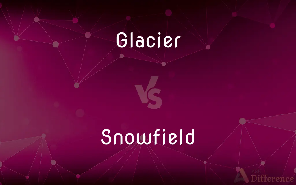 Glacier vs. Snowfield — What's the Difference?